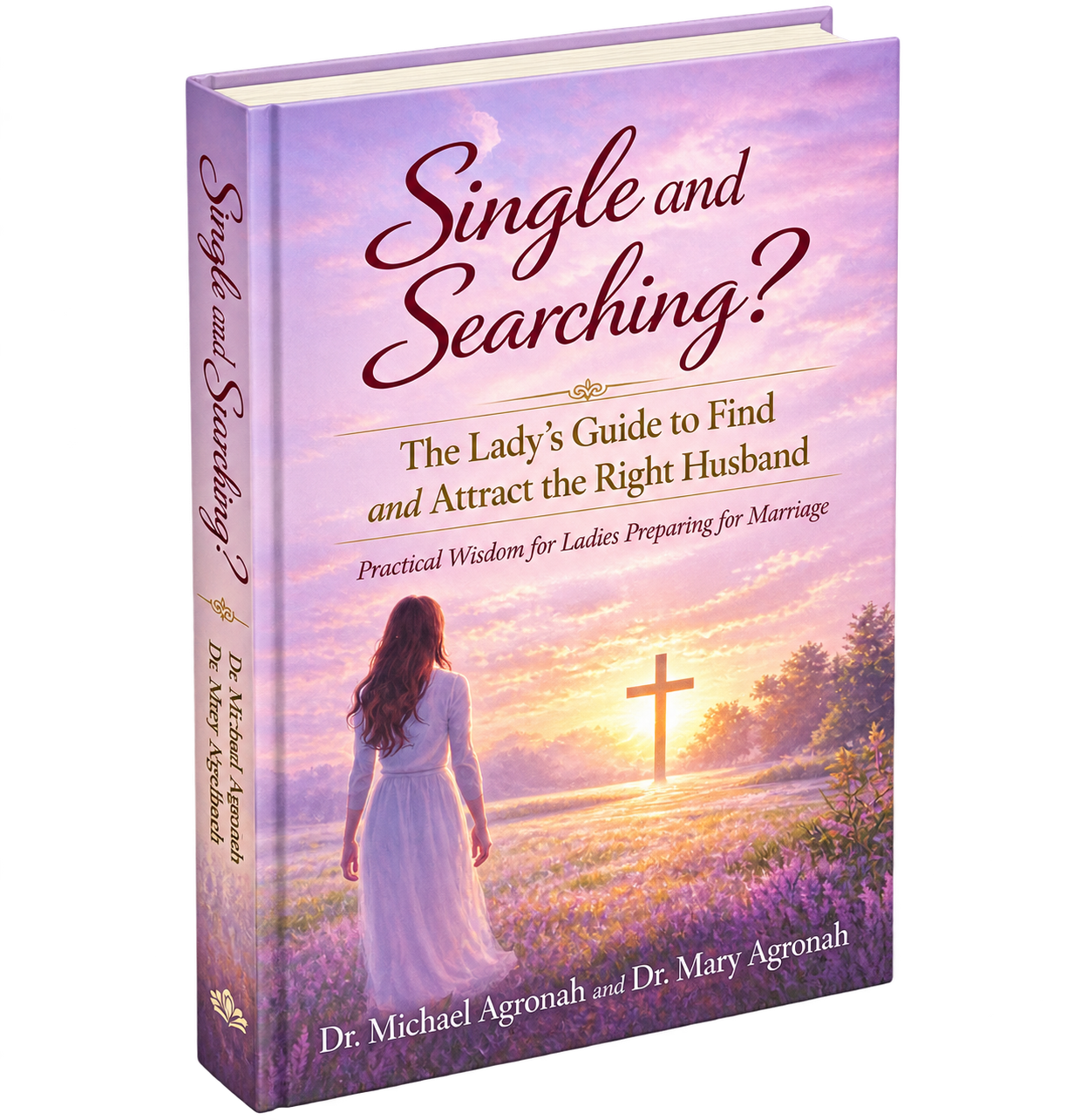 Single and Searching book cover